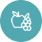Nutricao Icon